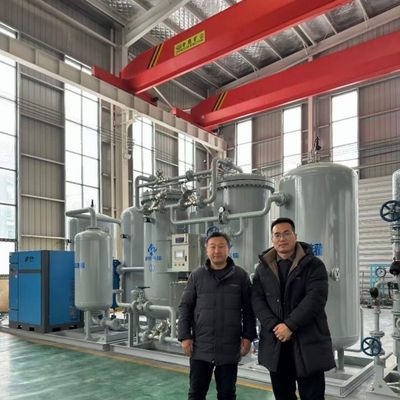 Low Power Consumption Explosive Proof IP65 Grade Nitrogen Gas Plant (Pembangkit gas nitrogen kelas IP65)