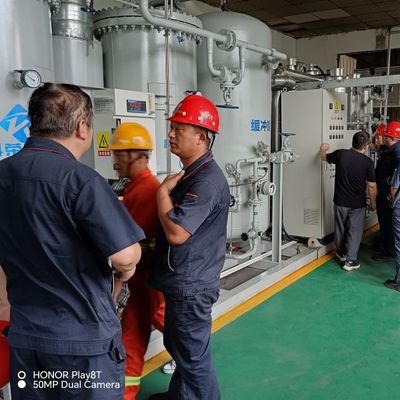20NM3HR 99,999% Pembersih Gas Generasi Nitrogen
